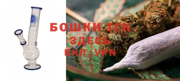 твердый Пересвет