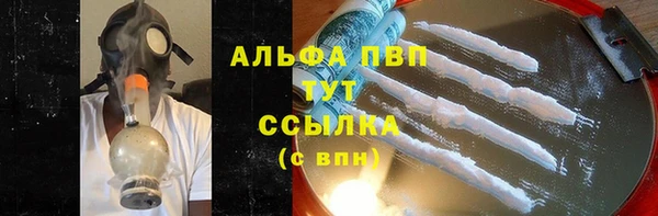 прущие грибы Переславль-Залесский
