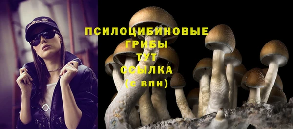 прущие грибы Переславль-Залесский