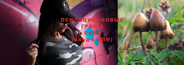 прущие грибы Переславль-Залесский