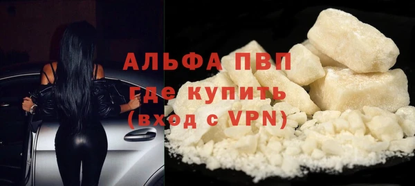 твердый Пересвет