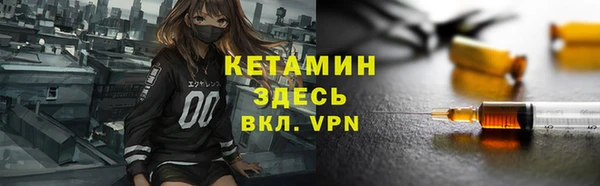 твердый Пересвет
