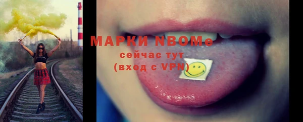 прущие грибы Переславль-Залесский