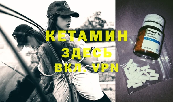 прущие грибы Переславль-Залесский