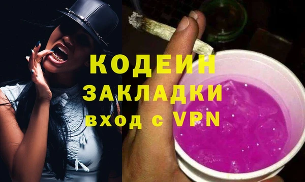прущие грибы Переславль-Залесский
