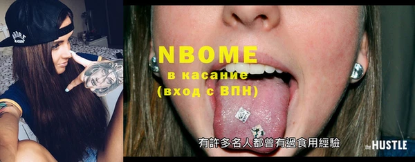 твердый Пересвет
